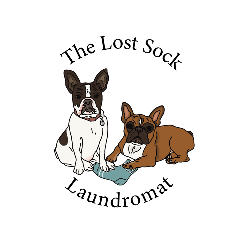 THE LOST SOCK LAUNDROMAT