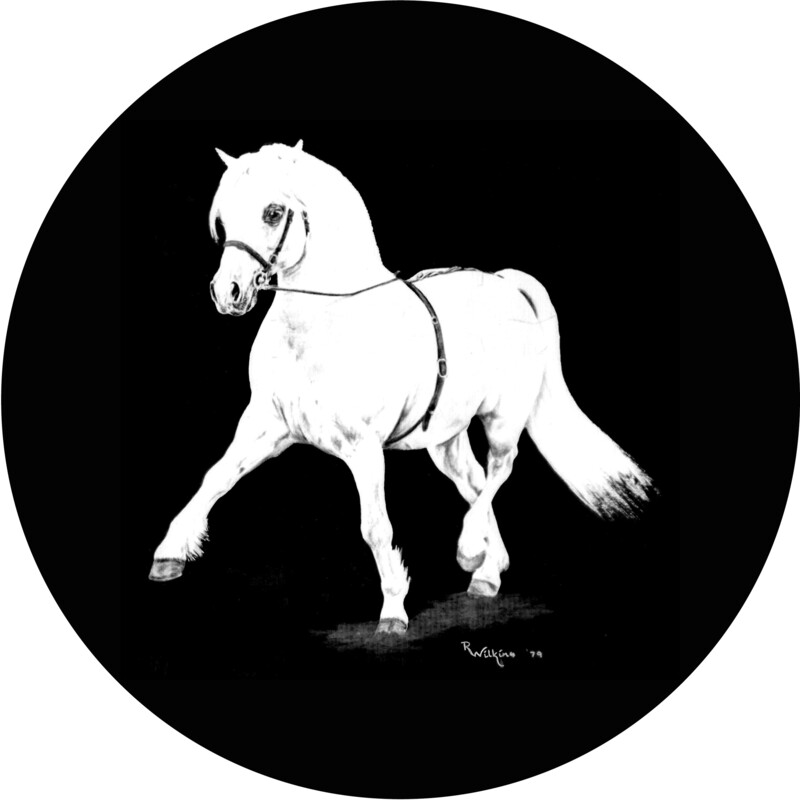 WELSH PONY & COB SOCIETY OF CANADA
BRONZE SPONSOR