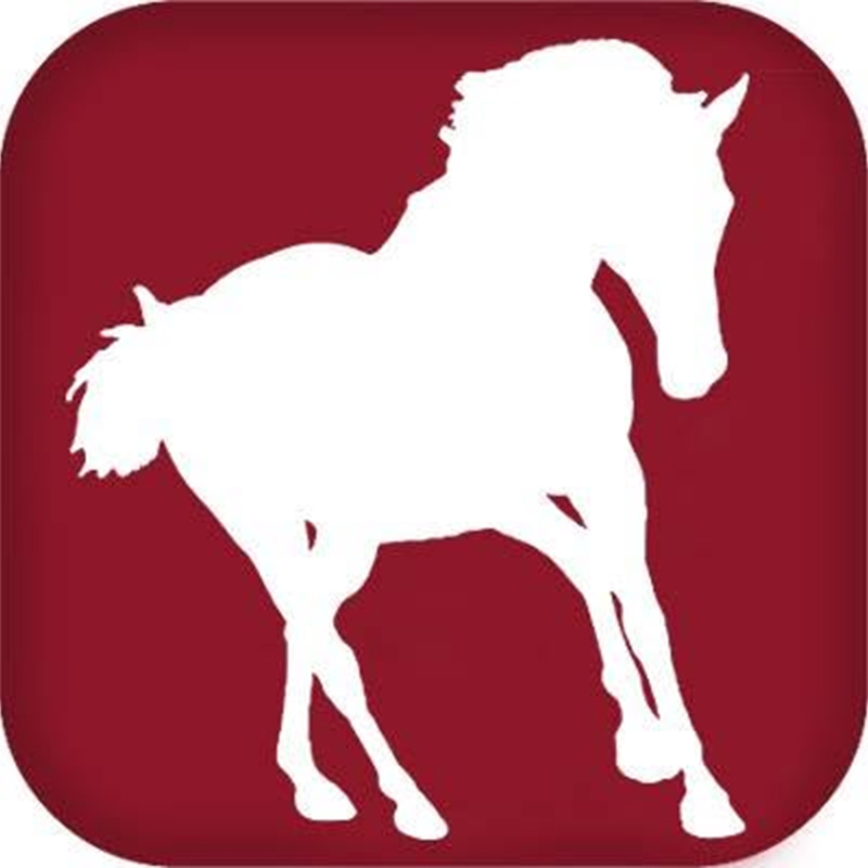 HORSE COMMUNITY JOURNALS INC. 

